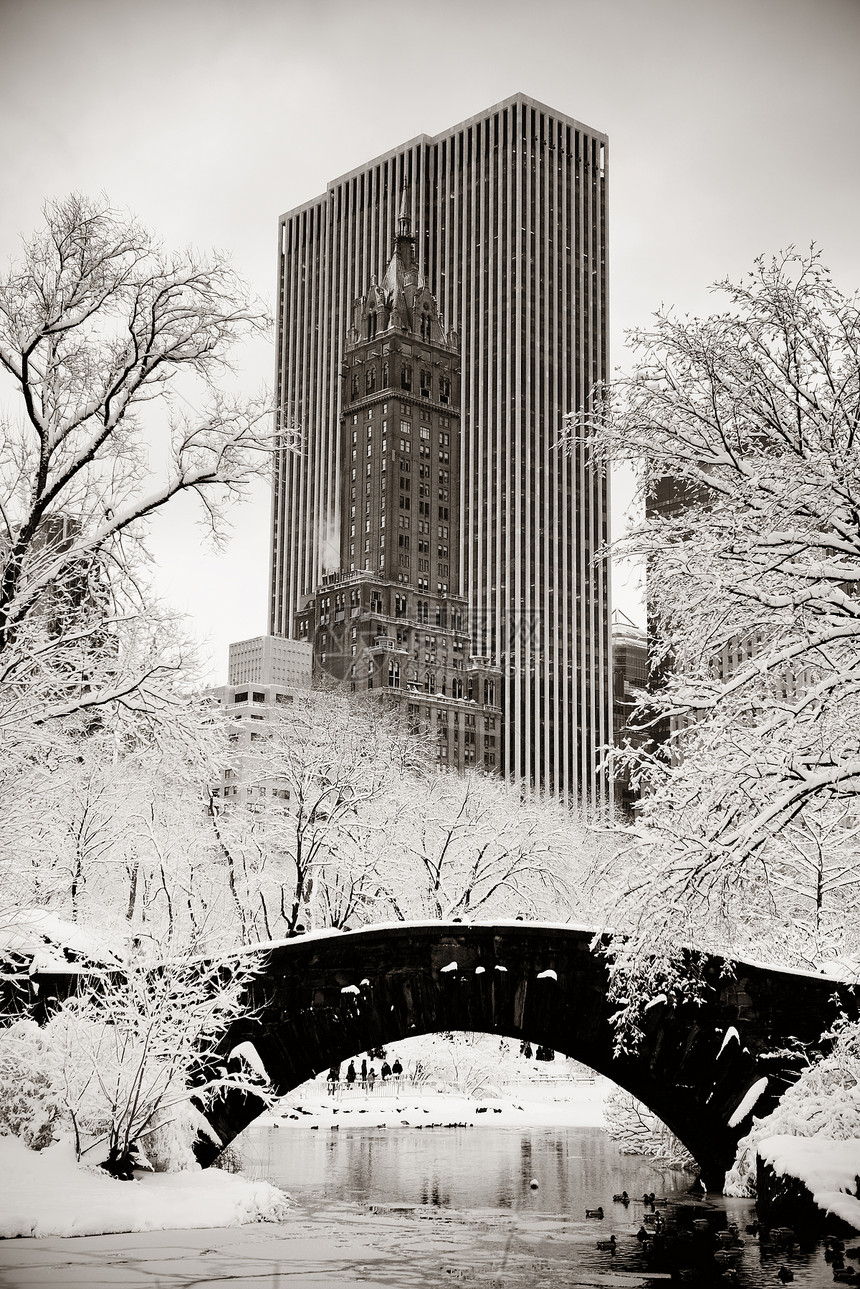 中央公园冬季纽约市曼哈顿市中城有摩图片