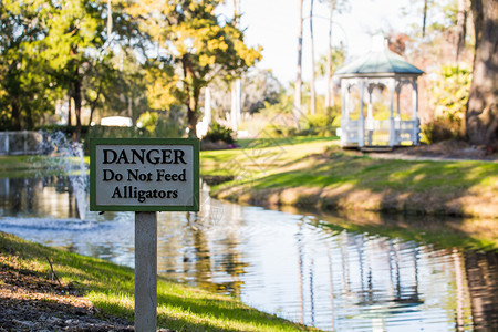警告在公园里用池塘喂鳄鱼时不要发出标志警告图片