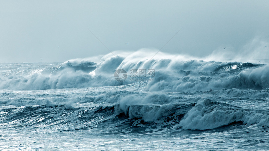 大海浪在暴风雨和雾日冲图片