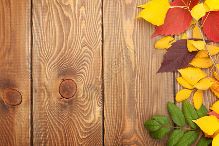 带有复制空间的木背景上的秋叶背景图片