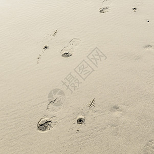 海滩沙上的人类足迹图片