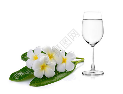 水杯和热带花朵frafipa图片