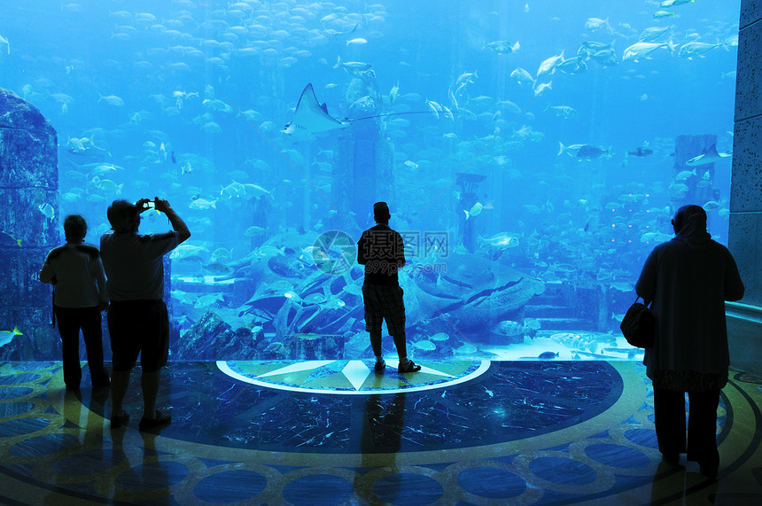 人们对一个大水族馆的剪影图片