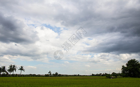 黄昏的田野和天空图片