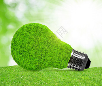 草中的生态能源灯泡图片