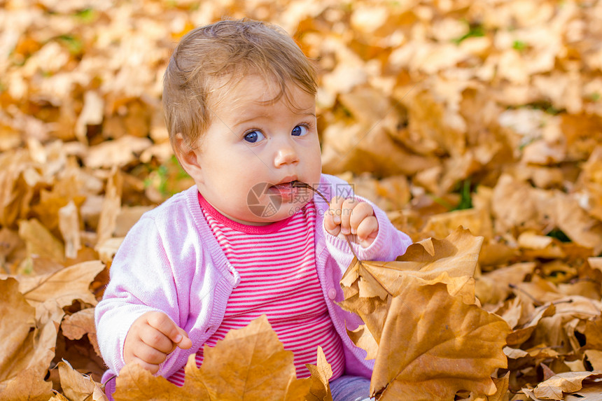 可爱的宝在公园里玩秋叶图片