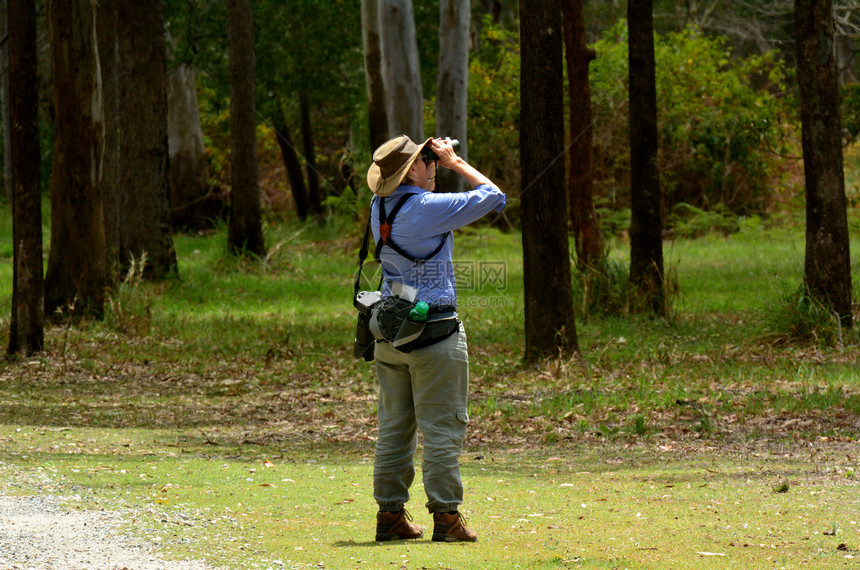 在澳大利亚金海岸Coombababah湖保护公园通过望远镜观看的年轻女鸟群观察图片