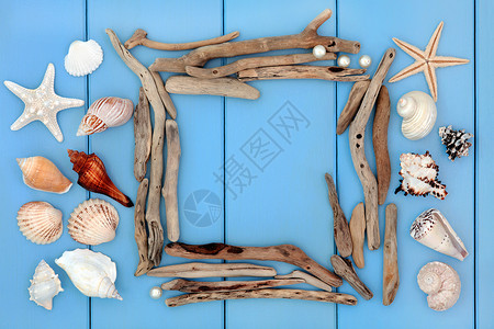 木制蓝色背景上的海贝拼贴和浮木框架图片