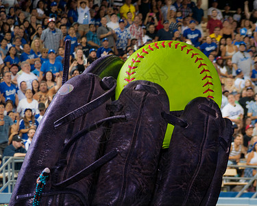 棒球或垒球中的指尖捕获有图片
