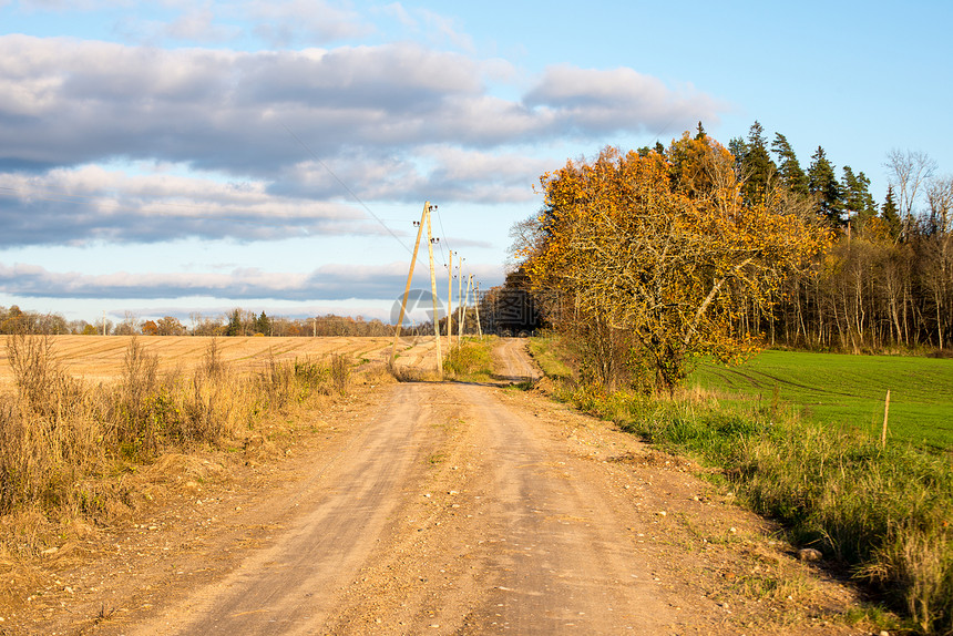 拉脱维亚的秋色乡村景观图片
