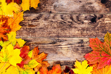 五颜六色的秋叶和木头背景背景图片
