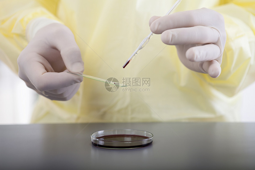在Petri盘子上加满红色的实验室自来水管图片