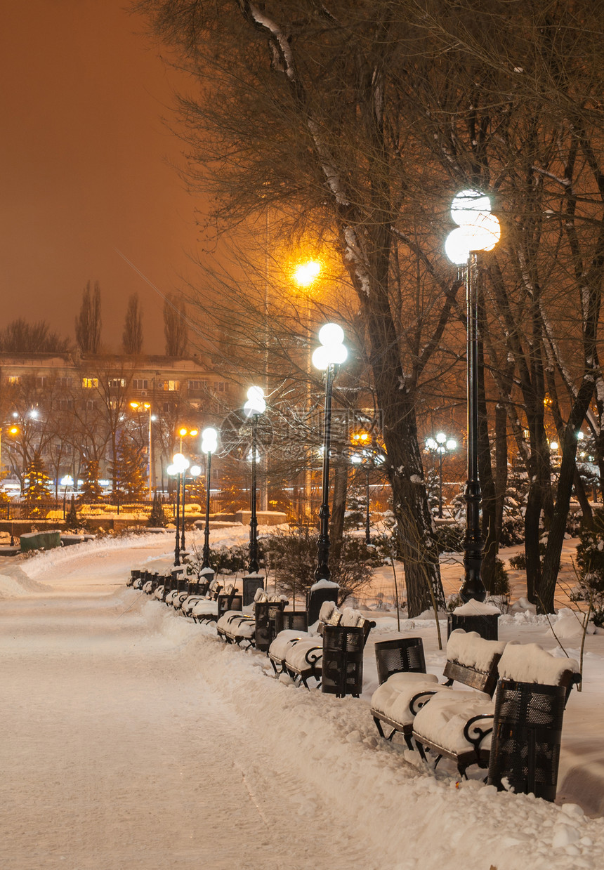 乌克兰顿涅茨克冬季城市公园夜图片
