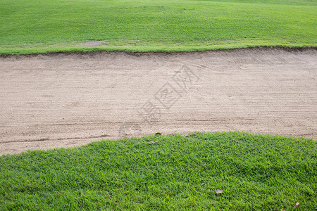 高尔夫球场的沙坑与绿草图片