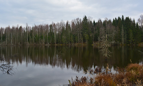 秋天森林里的湖俄罗斯图片