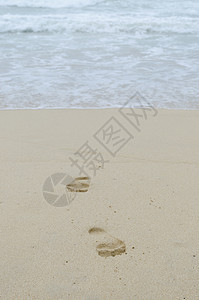 湿沙上的脚印图片