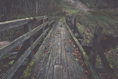 小河上的老木桥秋天图片