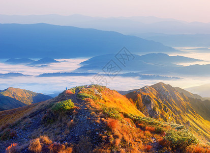 山坡上的太阳第一线山脊的风景无处不在背景