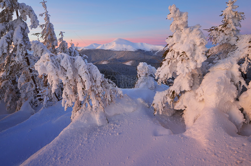 圣诞风景山上的冬季森林雪下着火美图片