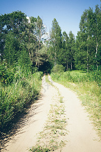 农村的森林道路图片