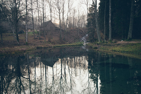 小湖边清晨图片