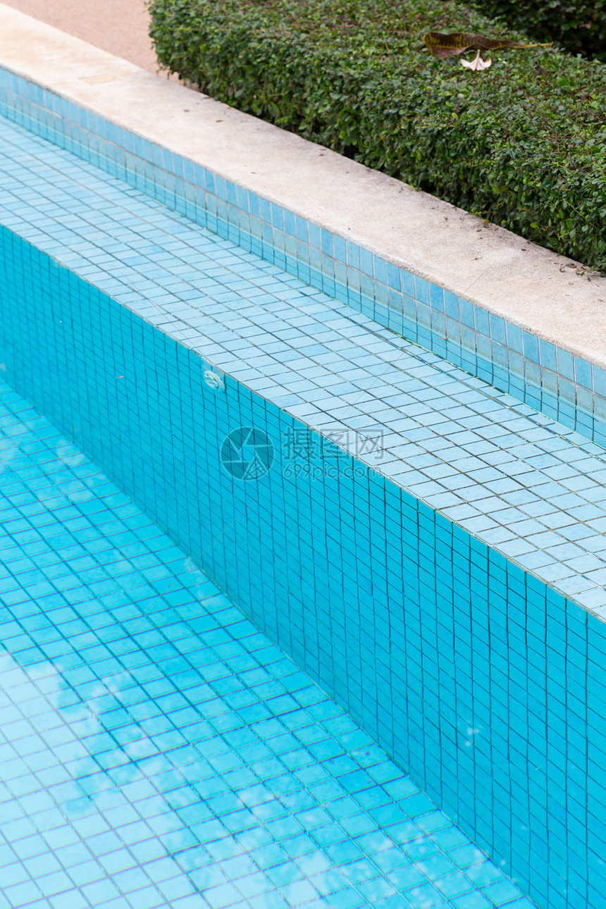 绿色花园中的蓝色游泳池图片