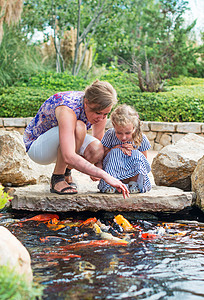女人和女儿在池塘里喂鱼图片