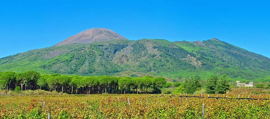 维苏威火山图片