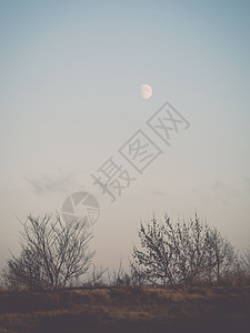 冬日落天空中月亮和图片
