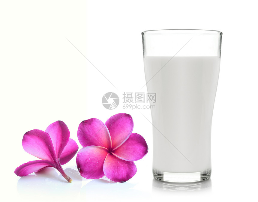 奶杯和热带花朵frafipa图片