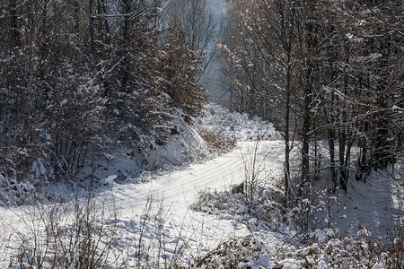 冬季小巷图片