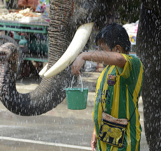 泰国东南亚曼谷以北的Ayutthaya市泰国新年节或Songkran节或水节Thai图片