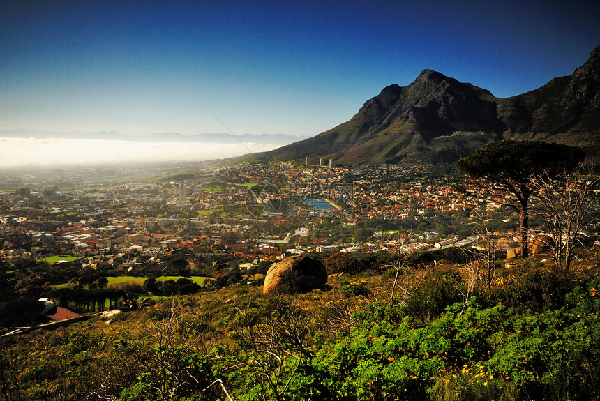 南非ViewCap图片