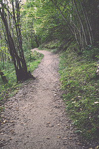 拉特维亚河附近树林中风景优美和丽的旅游小道古老图片