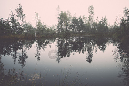 秋边湖有树木和云的反射倒退图片