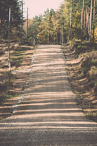 森林中的乡村沙砾路Latvia图片