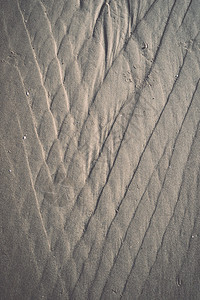 未经精炼潮湿和细质天然金沙的背景纹理古图片