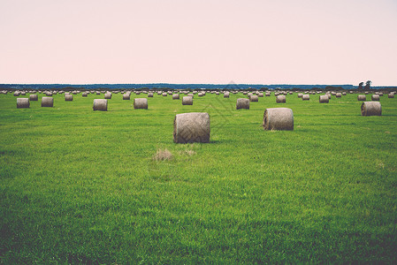 乡村绿地里的干草卷复古复图片