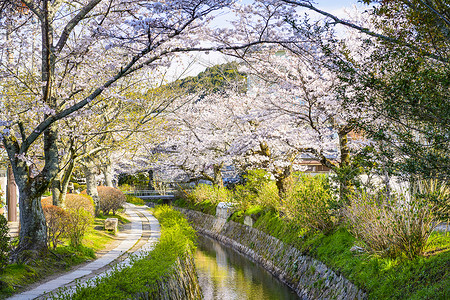 京都日本的哲学家之道图片