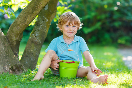 可爱的学龄前小男孩在家花园室外吃草莓图片