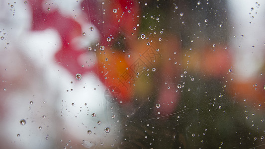 在典型的秋天景象中雨天下着红色自然背图片