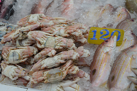 柜台上的新鲜冰鱼市场普吉岛泰国图片