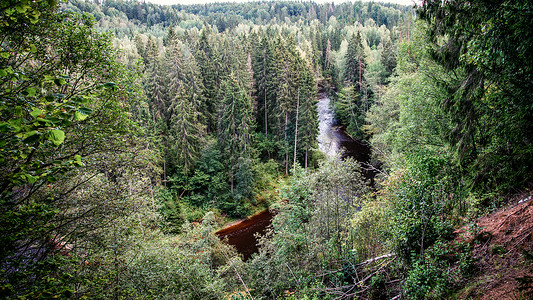 夏季的山河周围是森林和沙图片