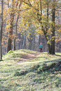 一位游客在秋季公园的路上行走图片