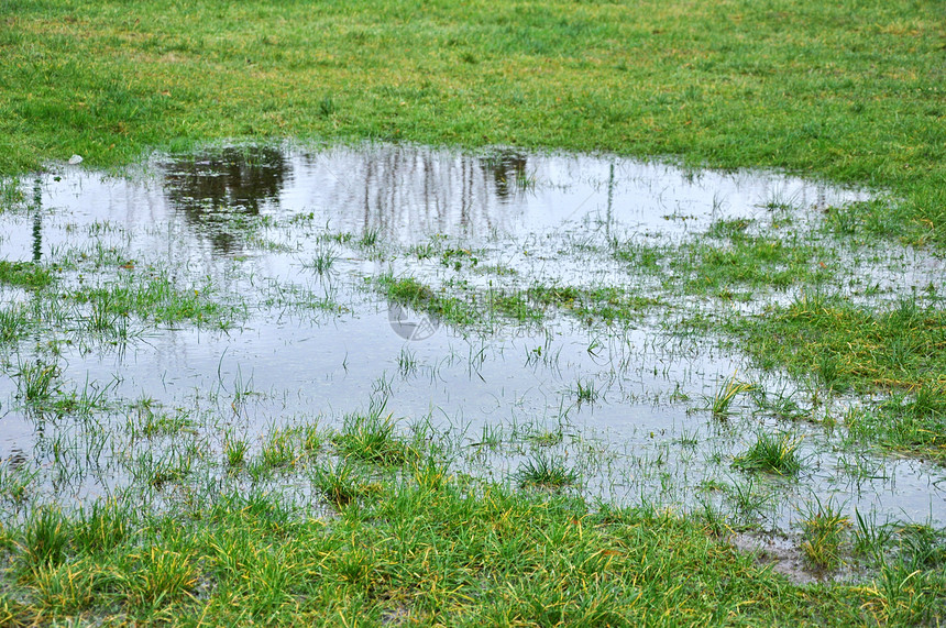 雨后草丛中的水坑图片