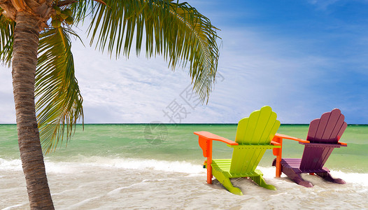 佛罗里达州迈阿密热带天堂海滩的彩色躺椅全景海洋的美丽的水绿色水域垂悬的棕榈树枝和背景图片