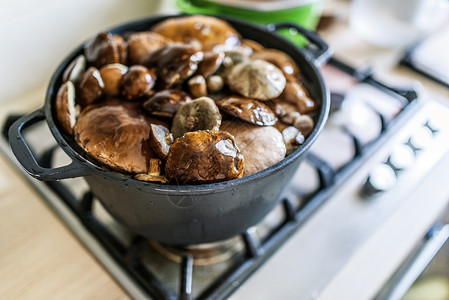 煤气炉上的铸铁大锅里放着白蘑菇图片