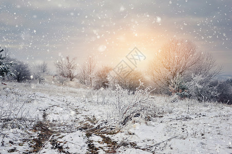 美丽的风景与第一场雪图片