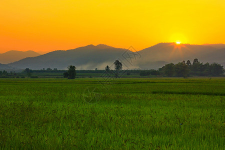 山后夕阳图片