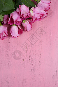 粉红色木本底的粉红玫瑰垂直和复制空间背景图片